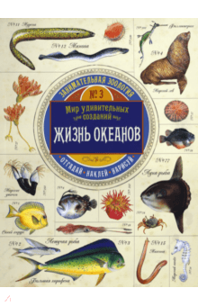 Полли Чизман - Занимательная зоология. Жизнь океанов обложка книги Полли Чизман - Занимательная зоология. Жизнь океанов обложка книги