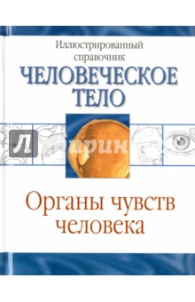 Органы чувств человека
