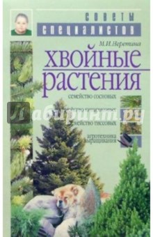 Хвойные растения - Маргарита Неретина