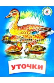 Константин Ушинский - Уточки обложка книги Константин Ушинский - Уточки обложка книги