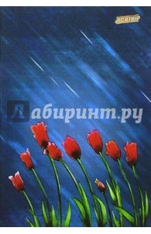 Тетрадь 96л А5 №13 Тетрадь 96л А5 №13