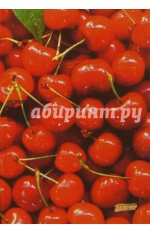 Тетрадь 96 листов А5 №15 Тетрадь 96 листов А5 №15