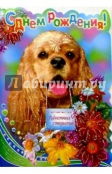 11158/День рождения 11 лет/открытка вырубка двойная 11158/День рождения 11 лет/открытка вырубка двойная