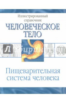 Пищеварительная система человека