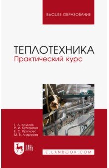 Теплотехника. Практический курс. Учебное пособие - Круглов, Булгакова, Круглова