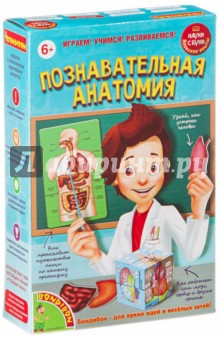 Японские опыты "Науки с Буки. Познавательная анатомия" (1836ВВ/196426) Японские опыты "Науки с Буки. Познавательная анатомия" (1836ВВ/196426)