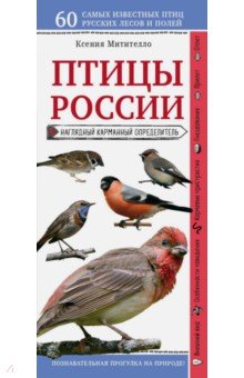 Птицы России. Наглядный карманный определитель - Ксения Митителло