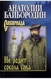 Анатолий Байбородин - Не родит сокола сова обложка книги Анатолий Байбородин - Не родит сокола сова обложка книги
