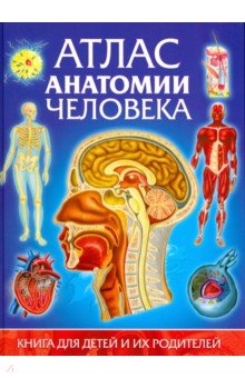 Атлас анатомии человека. Книга для детей и их родителей - Винченцо Гуиди