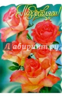 25305/Поздравляем/открытка вырубка двойная 25305/Поздравляем/открытка вырубка двойная