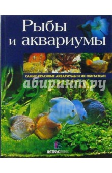 Рыбы и аквариумы: Самые красивые аквариумы и их обитатели Рыбы и аквариумы: Самые красивые аквариумы и их обитатели
