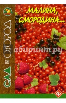 Малина, смородина...