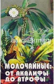 Молочайные (от акалифы до ятрофы) - Татьяна Гарнизоненко