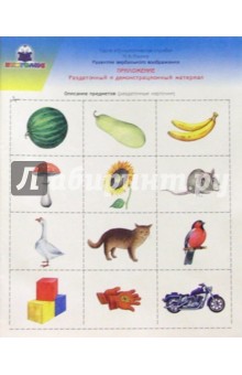 Развитие вербального воображения. Раздаточный и демонстрационный материал - М.В. Ильина