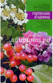 Алла Куклина - Гортензия и калина обложка книги Алла Куклина - Гортензия и калина обложка книги