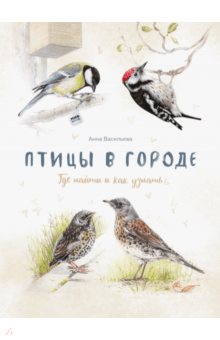 Анна Васильева - Птицы в городе. Где найти и как узнать