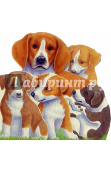 Игривые щенки