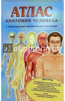 Ганьон, Мерсеро - Атлас анатомии человека с перекидными прозрачными постерами (малый) обложка книги Ганьон, Мерсеро - Атлас анатомии человека с перекидными прозрачными постерами (малый) обложка книги
