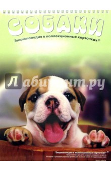Собаки обложка книги Собаки обложка книги