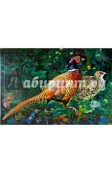 Развивающие рамки. Живая природа. Фазаны Развивающие рамки. Живая природа. Фазаны