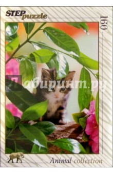 Step Puzzle-160 72047 Котенок Step Puzzle-160 72047 Котенок