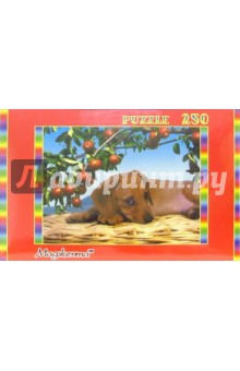 Пазл-250/2569/Такса обложка книги Пазл-250/2569/Такса обложка книги