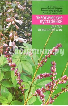 Экзотические кустарники для сада из Восточной Азии - Алла Куклина