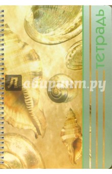 Тетрадь 96 листов 4234 (клетка) Тетрадь 96 листов 4234 (клетка)