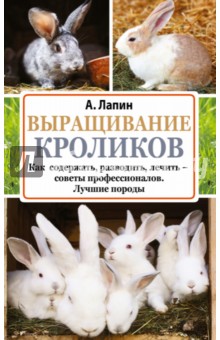 Кролики в яме: правила обустройства и преимущества данного способа