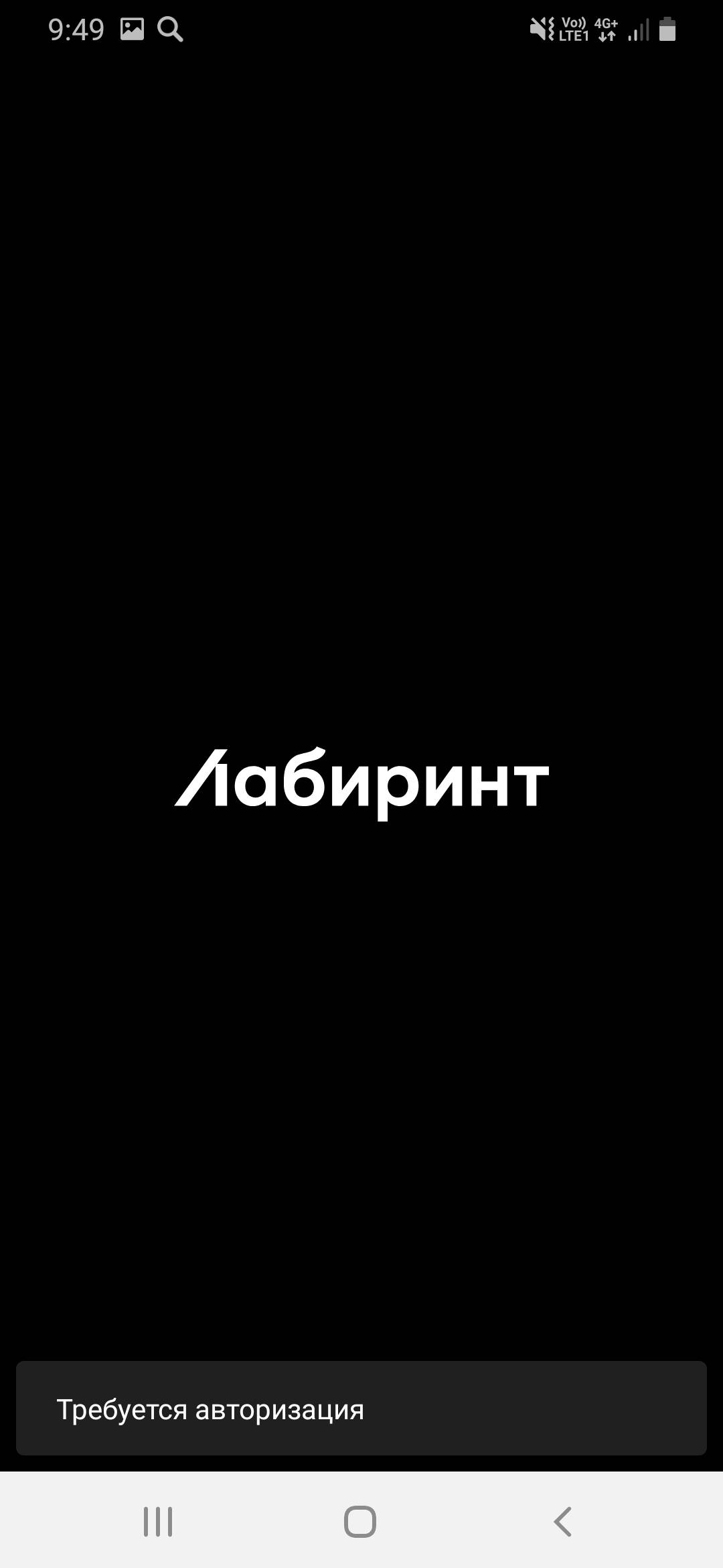 Загружает черный экран, внизу мелькает и тут же исчезает строка | Поддержка  лабиринта