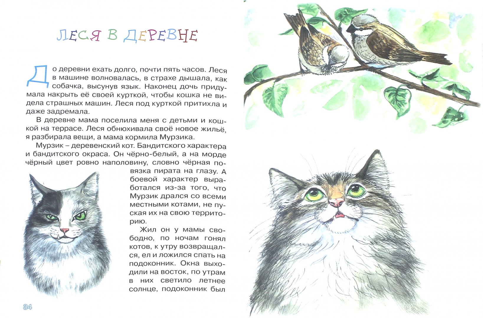 Иллюстрация 1 из 21 для Про кошку Лесю - Светлана Комракова | Лабиринт - книги. Источник: Лабиринт