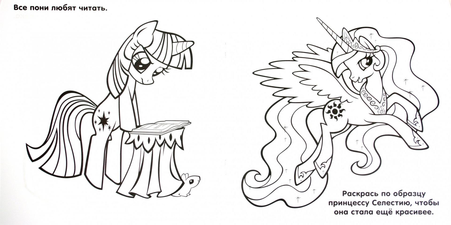 �������� ������� ���� �� ����� �����, ���������