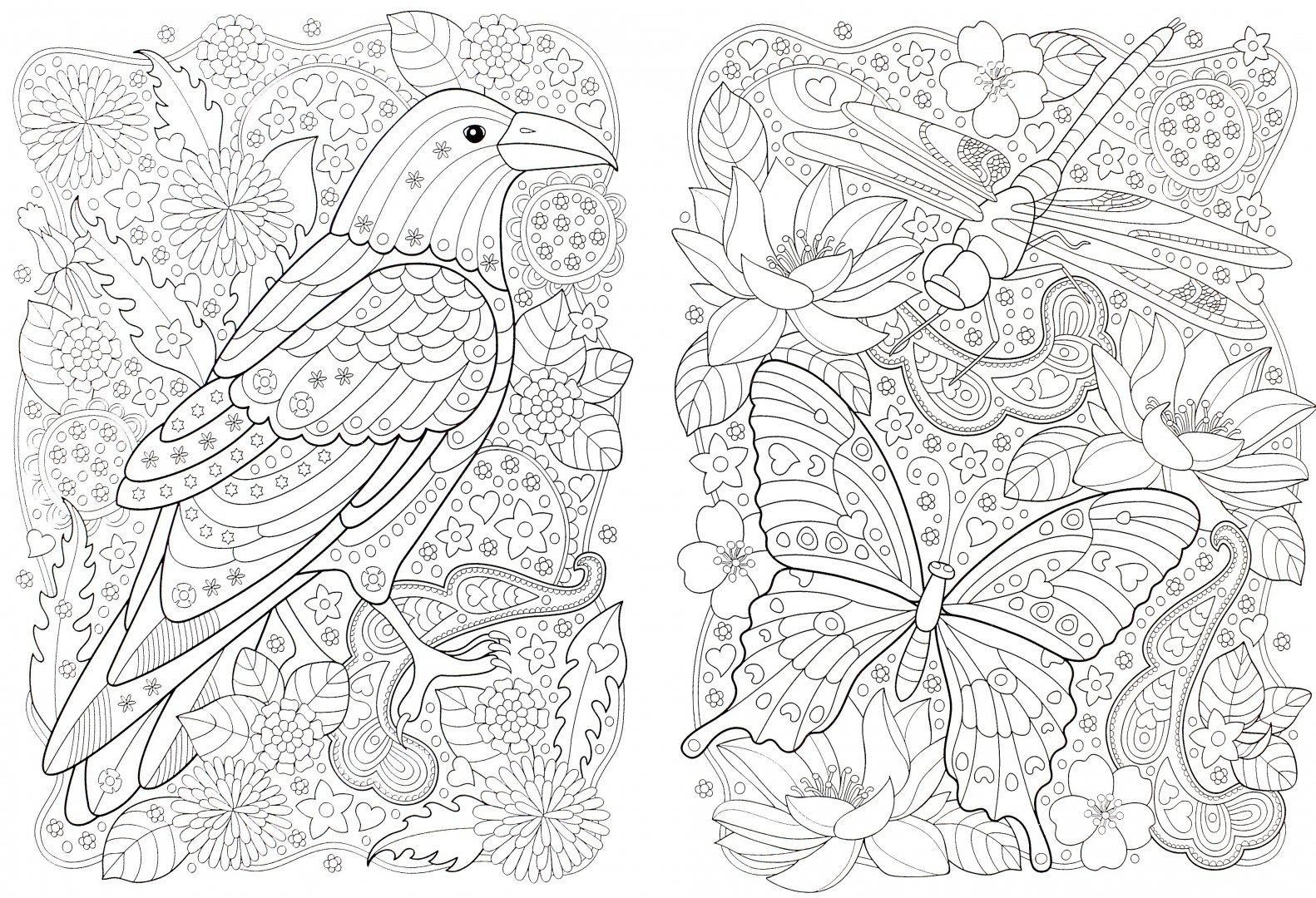 Иллюстрация 1 из 33 для Сады. Раскраска | Лабиринт - книги. Источник: Лабиринт