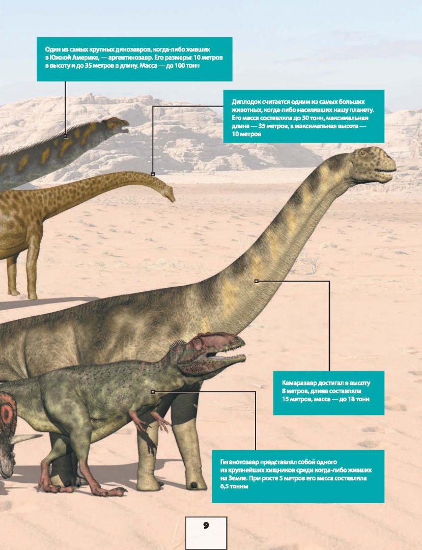Иллюстрация 8 из 51 для Динозавры - Ликсо, Хомич, Филиппова | Лабиринт - книги. Источник: Лабиринт