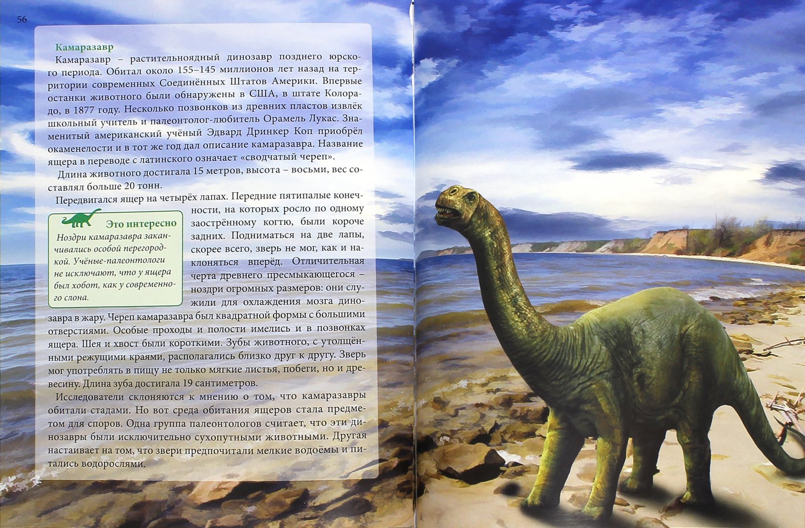 Иллюстрация 1 из 36 для Динозавры - Ирина Астапенко | Лабиринт - книги. Источник: Лабиринт