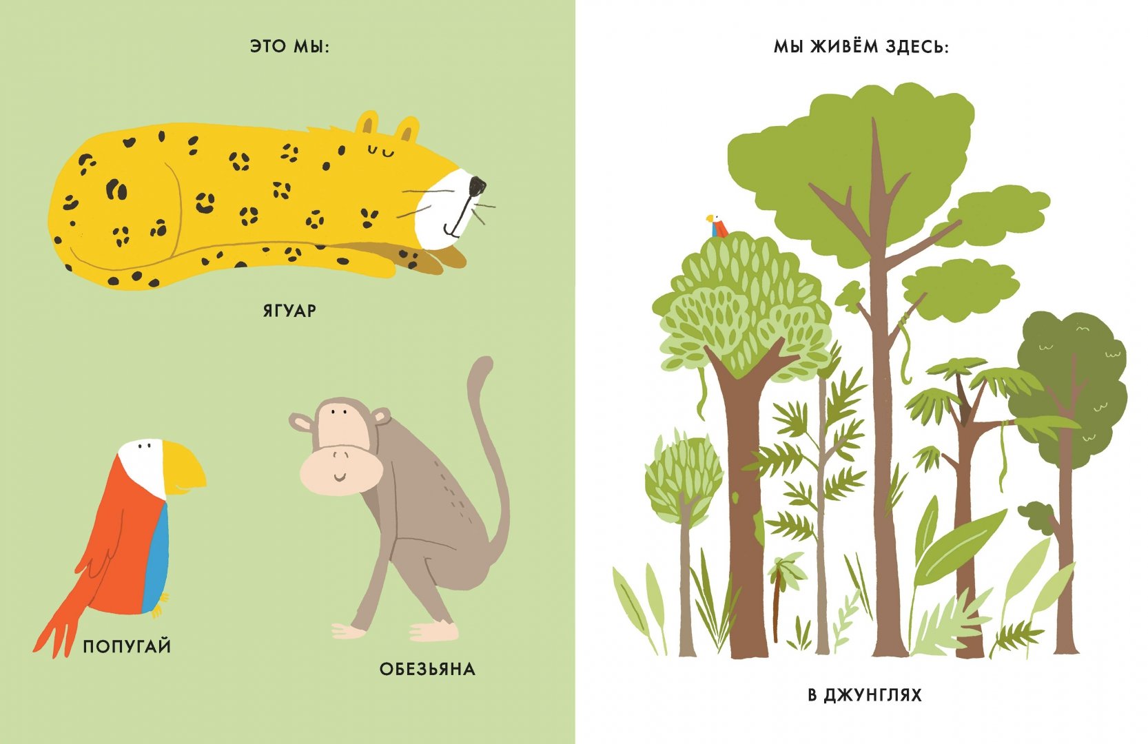 Иллюстрация 1 из 37 для Мои маленькие джунгли - Катрин Виле | Лабиринт - книги. Источник: Лабиринт