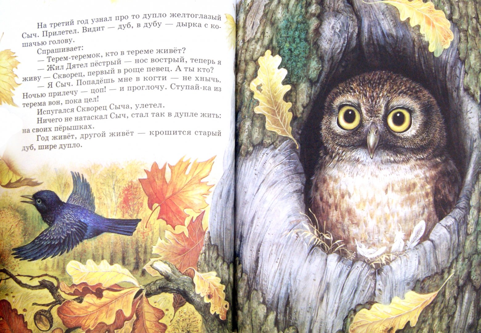 Иллюстрация 1 из 17 для Лесные сказки и были - Виталий Бианки | Лабиринт - книги. Источник: Лабиринт