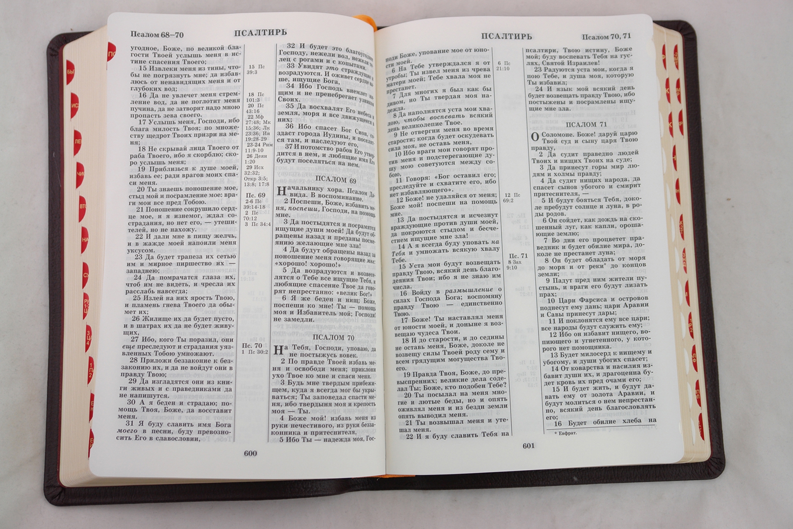 Иллюстрация 1 из 3 для Библия (1196) (без неканонических книг Ветхого Завета) (077TI) вишневый кожаный переплет + футляр | Лабиринт - книги. Источник: Лабиринт