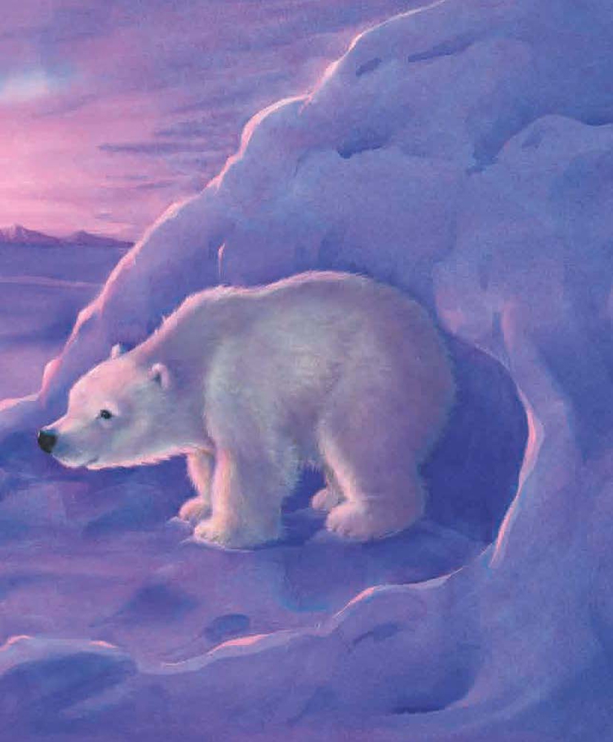 Иллюстрация 6 из 18 для Как медвежонок солнце искал (иллюстрации Хейзел Линкольн) - Хейзел Линкольн | Лабиринт - книги. Источник: Лабиринт
