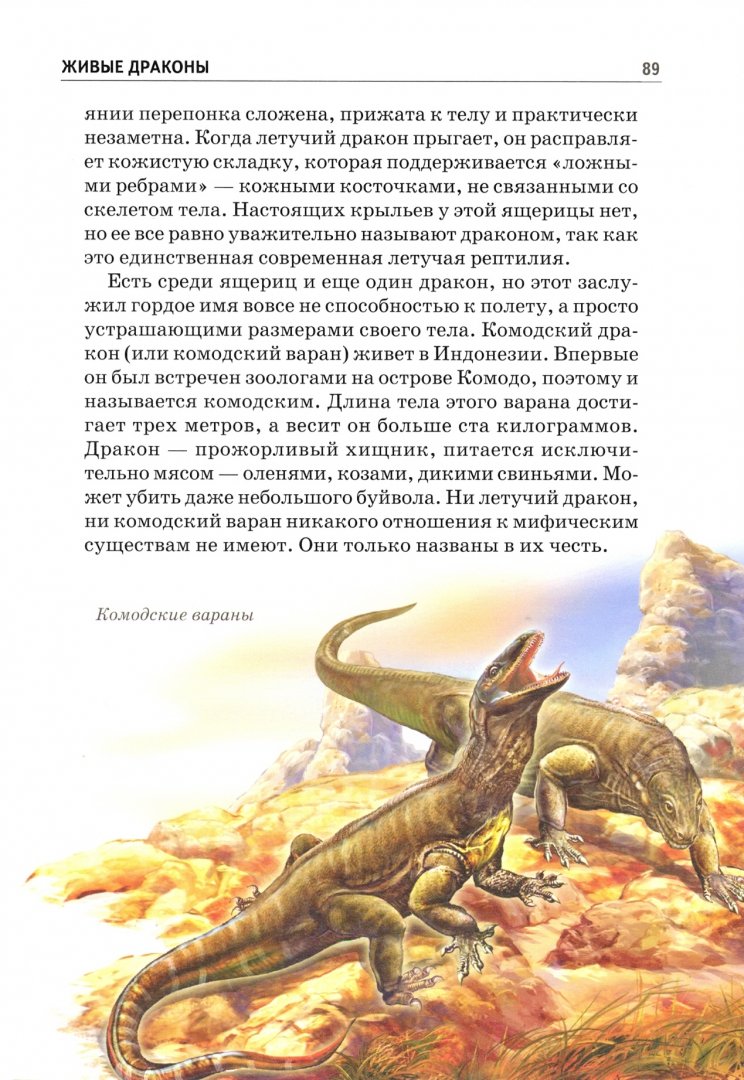 Иллюстрация 2 из 28 для Драконы и легенды - Юлия Дунаева | Лабиринт - книги. Источник: Лабиринт