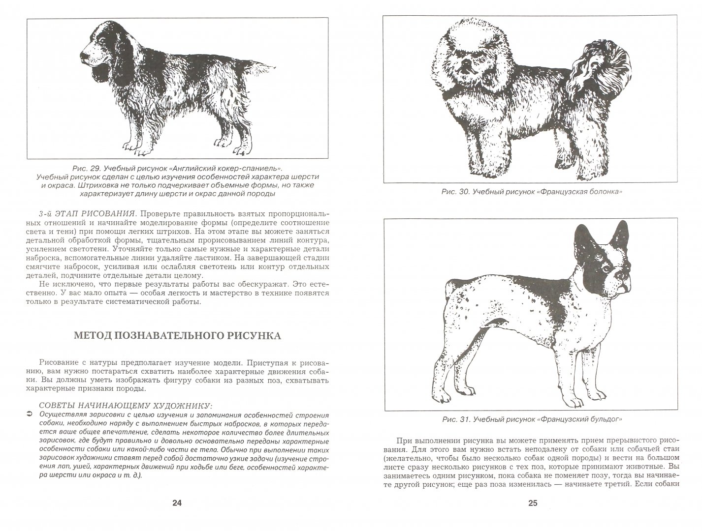 Иллюстрация 1 из 9 для Рисуем собаку - Маланов, Конев | Лабиринт - книги. Источник: Лабиринт