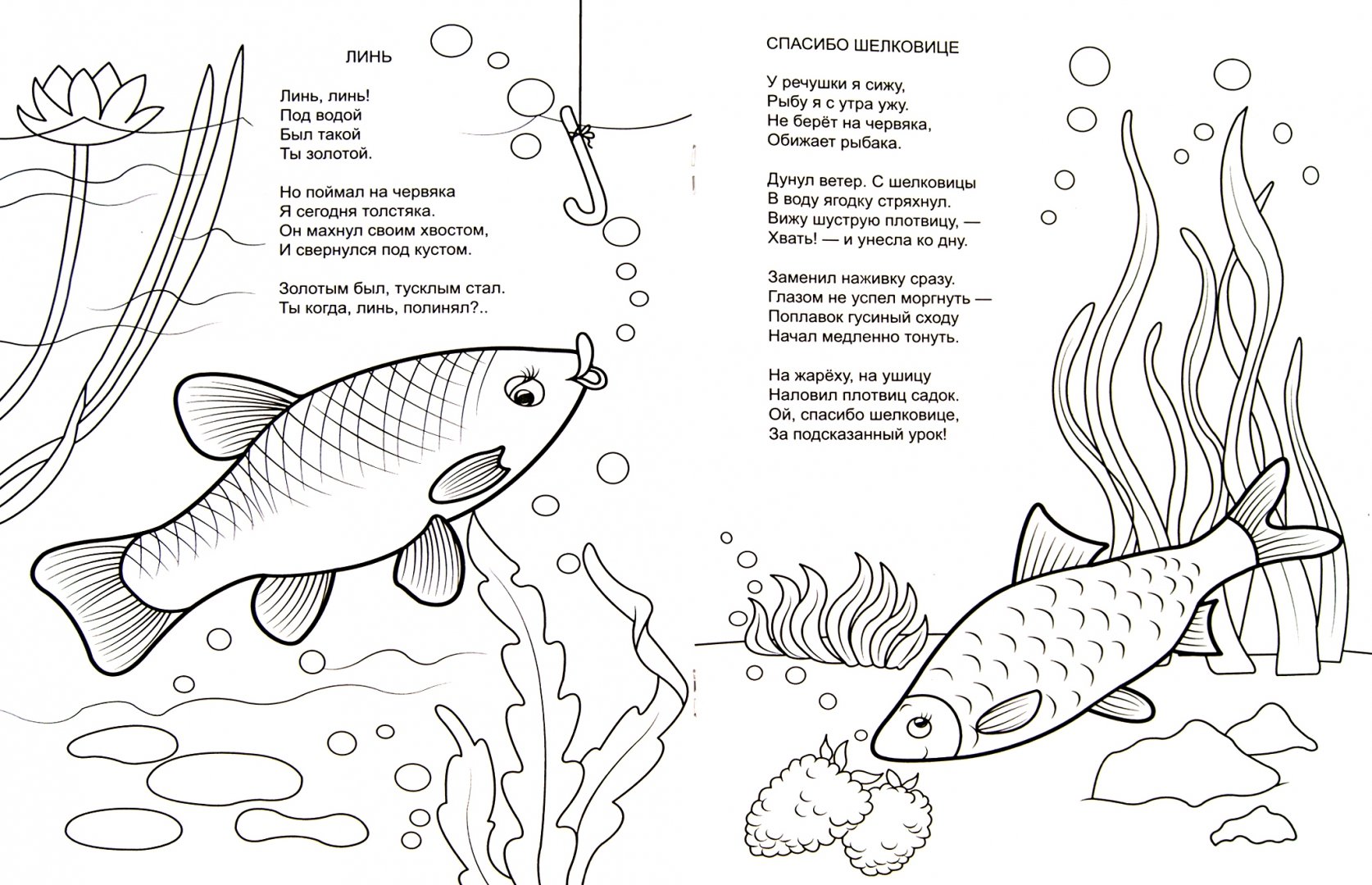 Иллюстрация 1 из 11 для Форелевая речка - Н. Красильников | Лабиринт - книги. Источник: Лабиринт