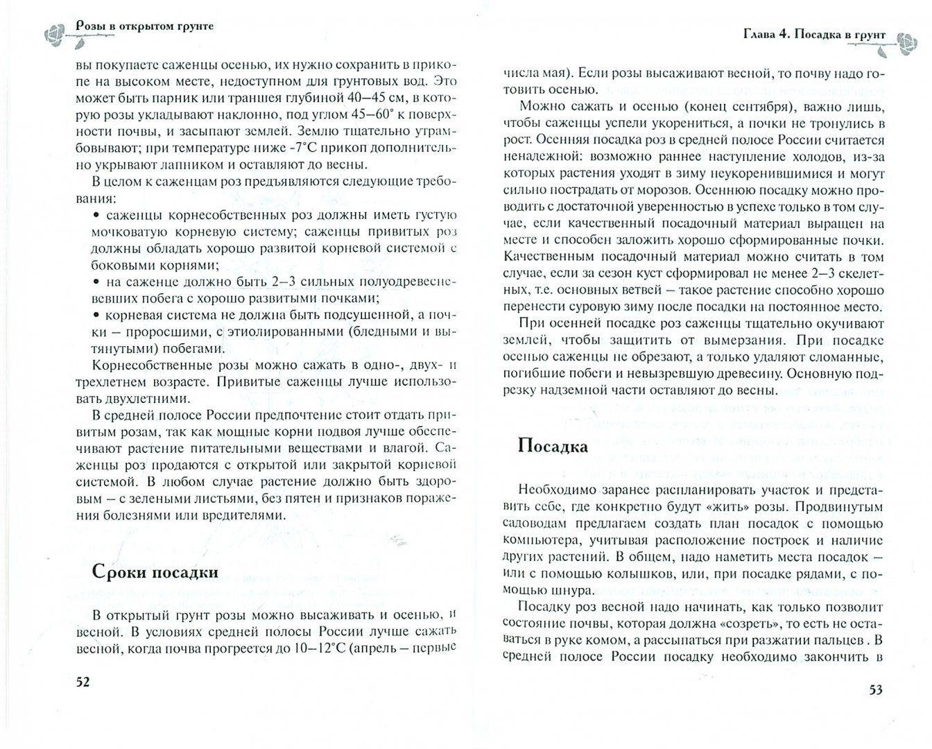 Иллюстрация 1 из 4 для Розы в открытом грунте - Медведев, Крупина | Лабиринт - книги. Источник: Лабиринт