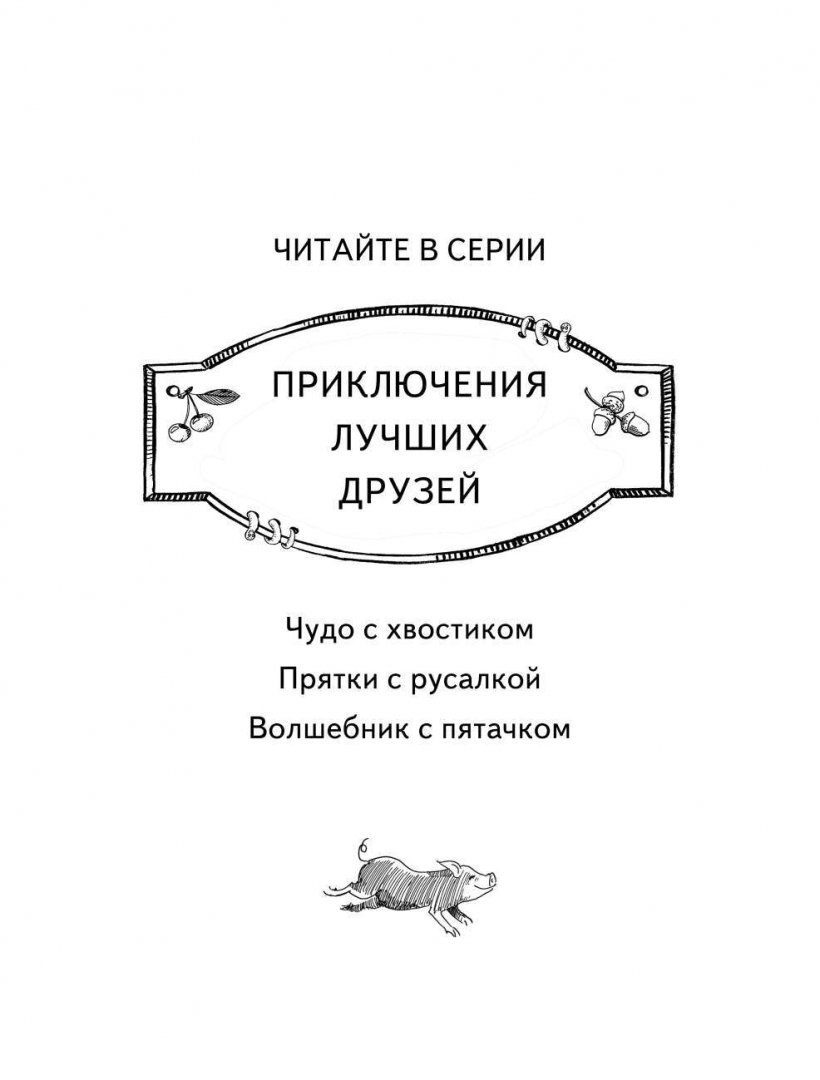 Иллюстрация 2 из 21 для Волшебник с пятачком - Владимир Сотников | Лабиринт - книги. Источник: Лабиринт