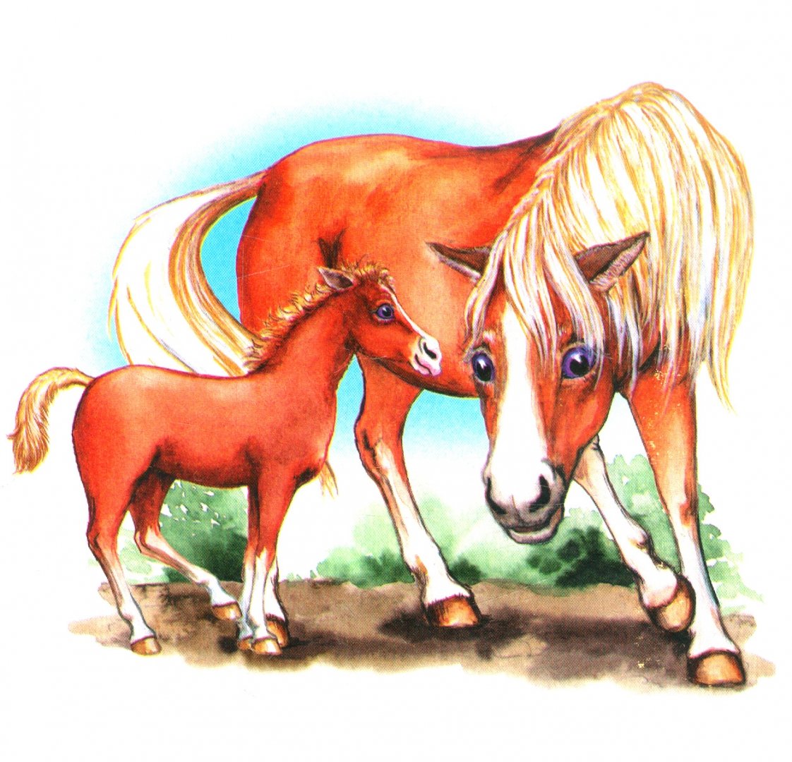 Мама лошадка. Домашние животные лошадь для детей. Лошадь с жеребенком. Лошадка и жеребенок для детей. Лошадь с жеребенком для детского сада.