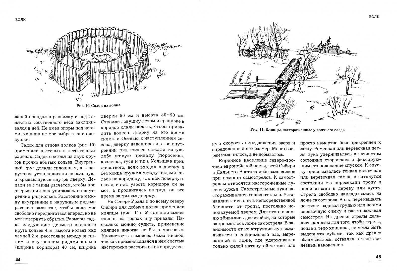 Иллюстрация 1 из 15 для Волк, шакал - Черенков, Поярков | Лабиринт - книги. Источник: Лабиринт