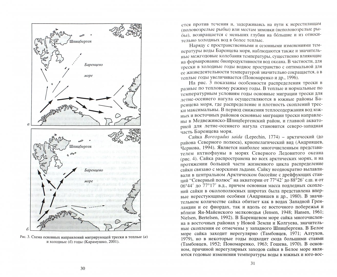 Иллюстрация 1 из 6 для Биоэнергетика рыб северных морей - Лариса Карамушко | Лабиринт - книги. Источник: Лабиринт