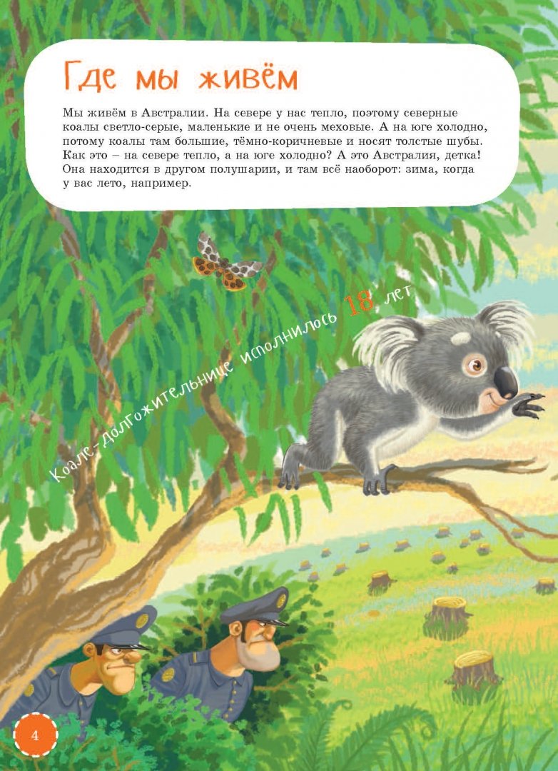 Иллюстрация 1 из 35 для Я коала - Ирина Лукьянова | Лабиринт - книги. Источник: Лабиринт