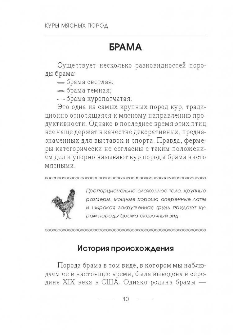 Иллюстрация 7 из 16 для Куры мясных пород - Иван Балашов | Лабиринт - книги. Источник: Лабиринт