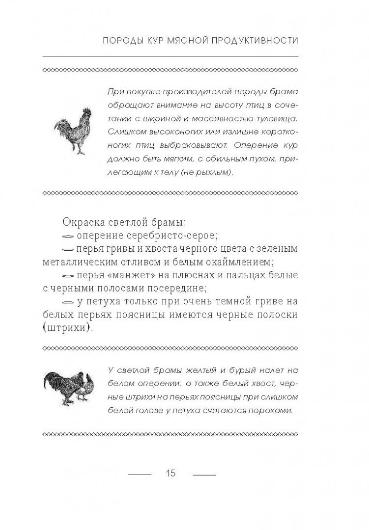 Иллюстрация 11 из 16 для Куры мясных пород - Иван Балашов | Лабиринт - книги. Источник: Лабиринт